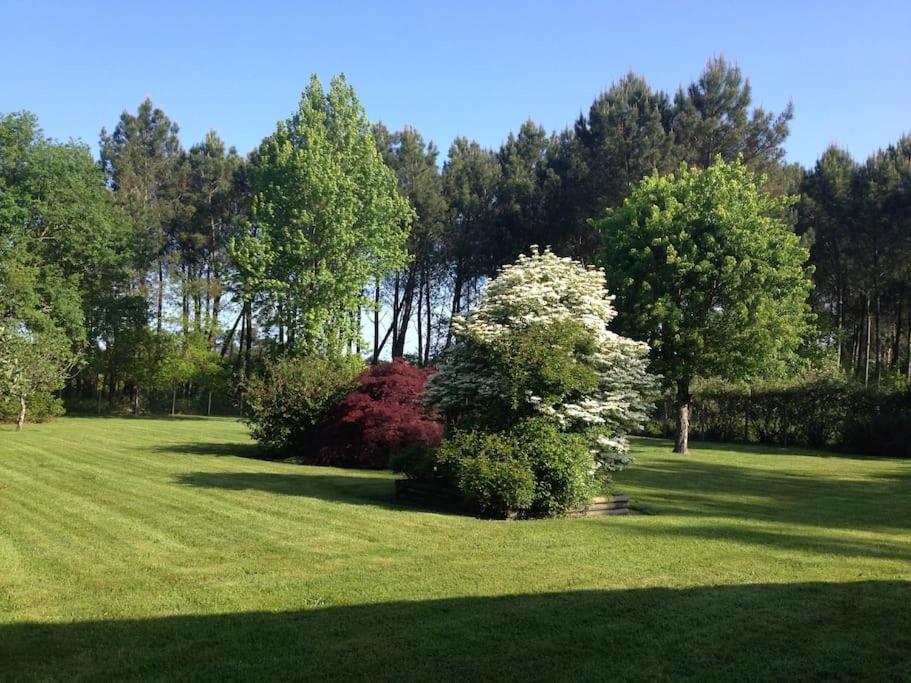 La Bergerie Des Landes Villa Lit-et-Mixe Exteriör bild