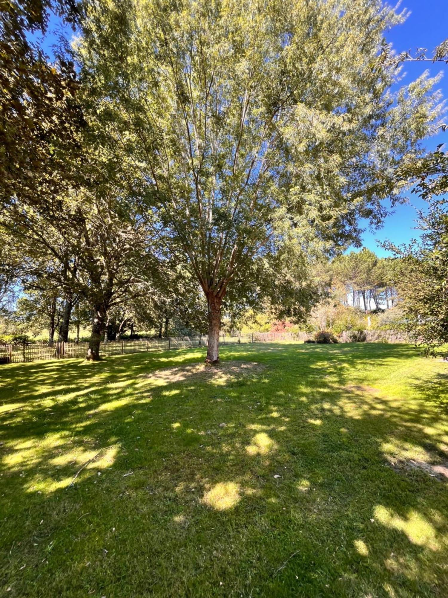 La Bergerie Des Landes Villa Lit-et-Mixe Exteriör bild